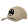 Full Cap 3D Logo