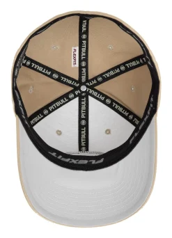 Full Cap 3D Logo