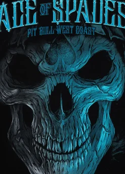 Men's Hoodie Blue Skull