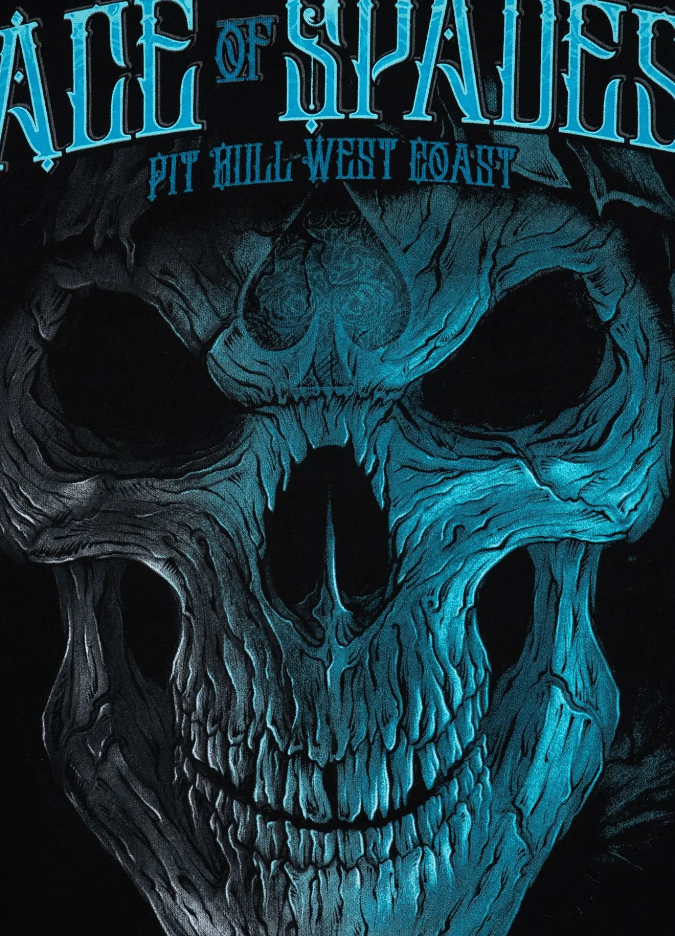 Men's Hoodie Blue Skull