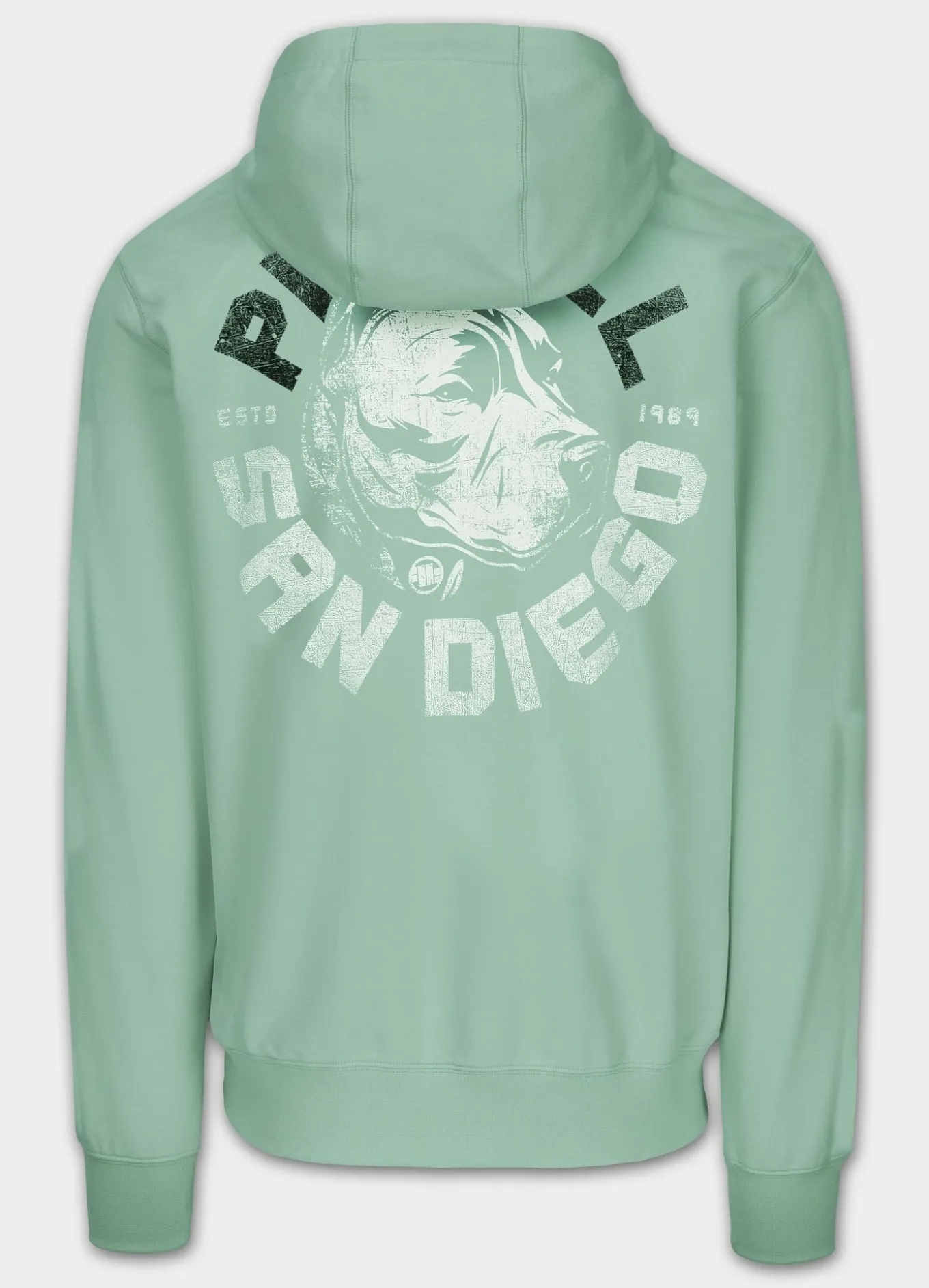 Men's Hoodie DOG SD - Mint