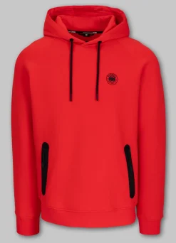 Men's Hoodie DOGWOOD