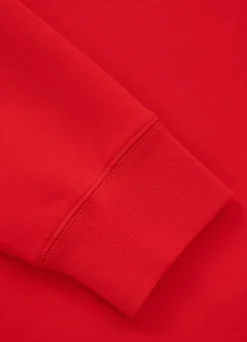Men's Hoodie DOGWOOD