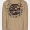 Men's Hoodie DRIVING
