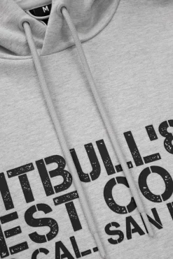 Men's Hoodie DRIVING