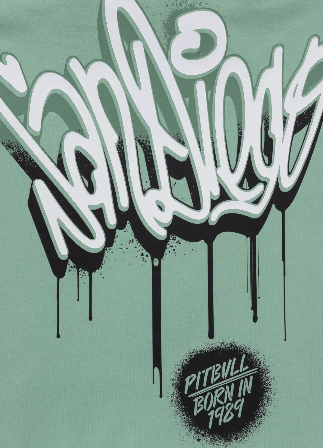 Men's Hoodie GRAFFITI