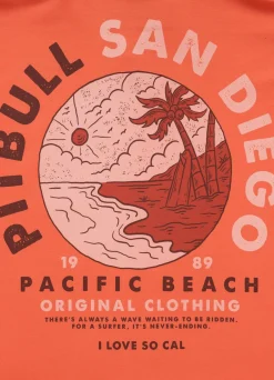 Men's Hoodie PLANET SURF - Salmon