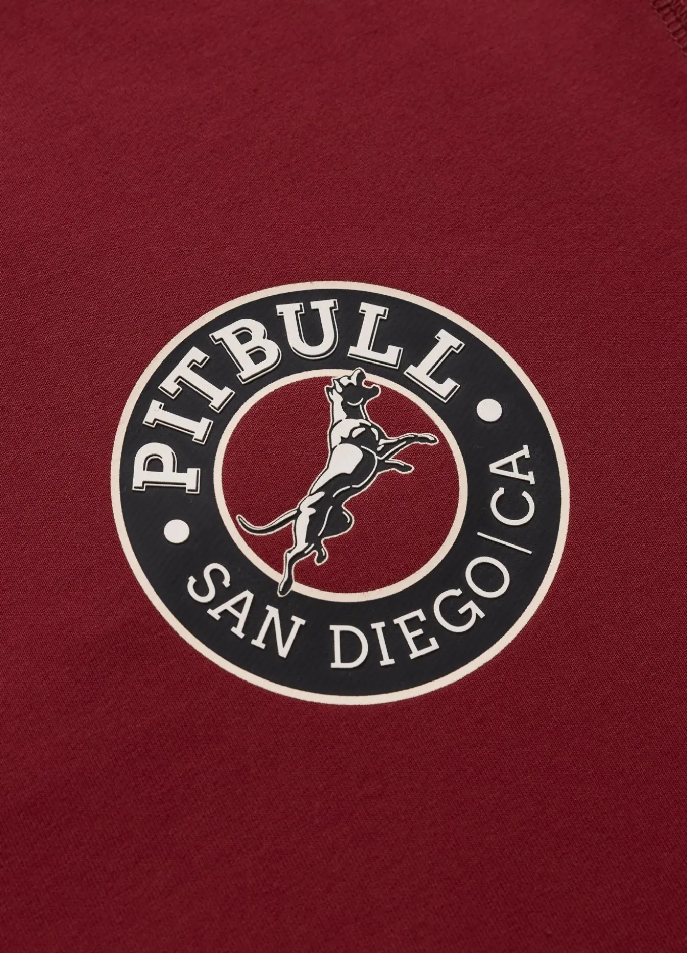 Men's Hoodie SAN DIEGO CA