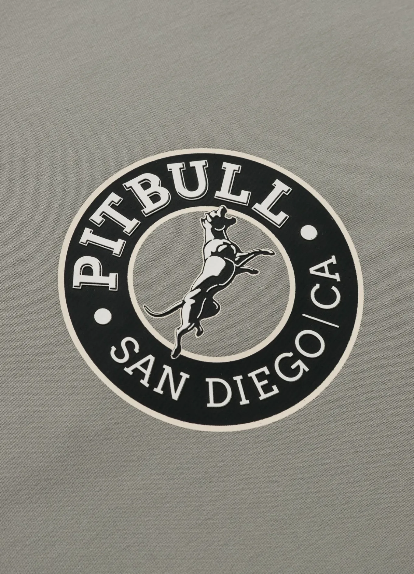 Men's Hoodie SAN DIEGO CA