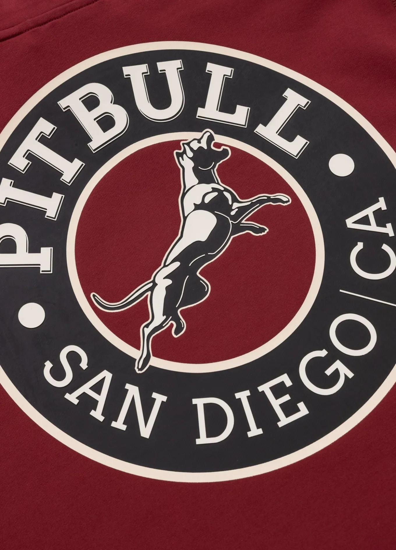 Men's Hoodie SAN DIEGO CA
