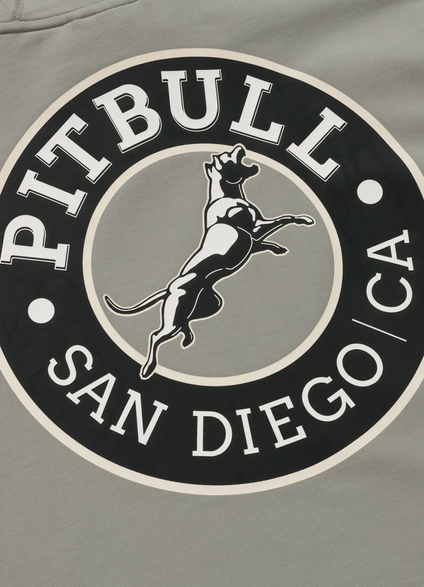 Men's Hoodie SAN DIEGO CA