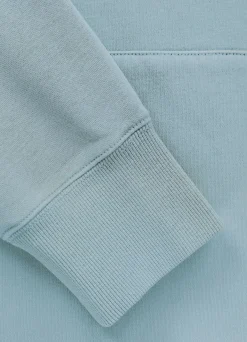 Men's Hoodie Washed DOG SD - Light blue