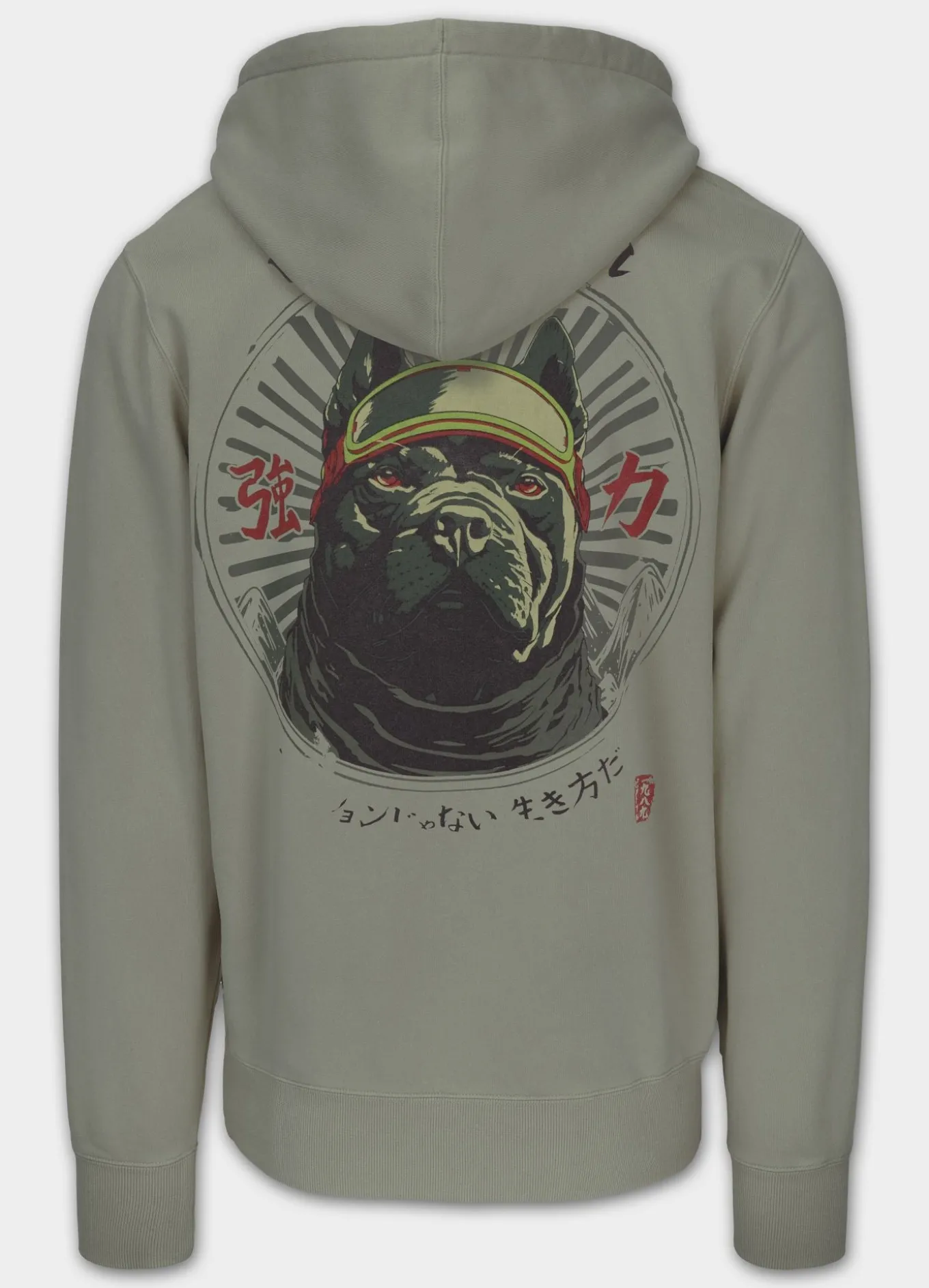 Men's Hoodie Washed MT FUJI