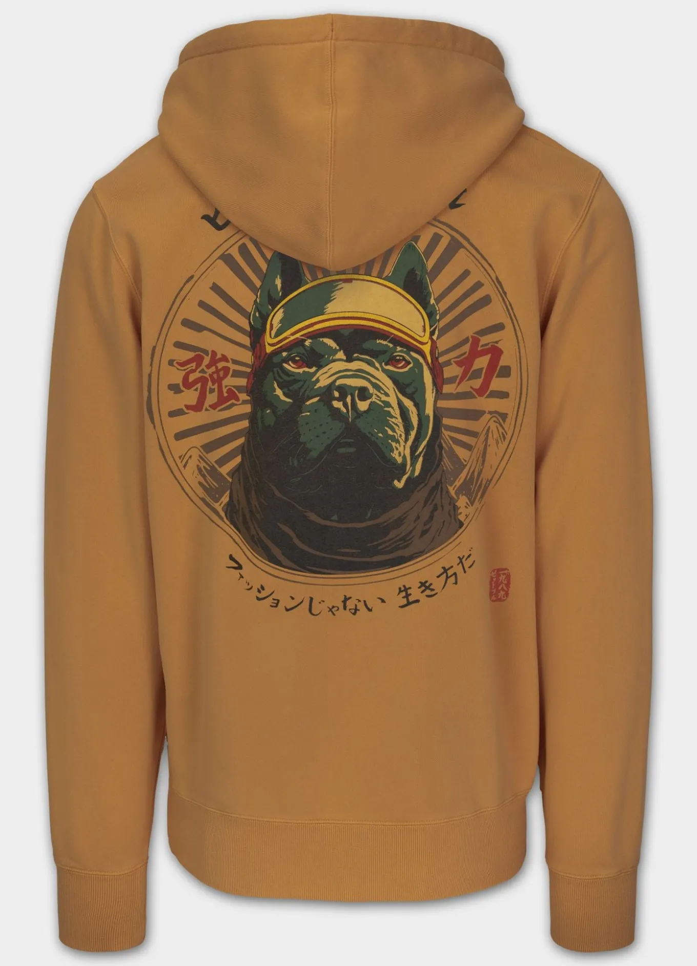 Men's Hoodie Washed MT FUJI