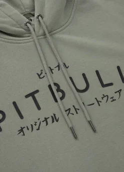 Men's Hoodie Washed MT FUJI