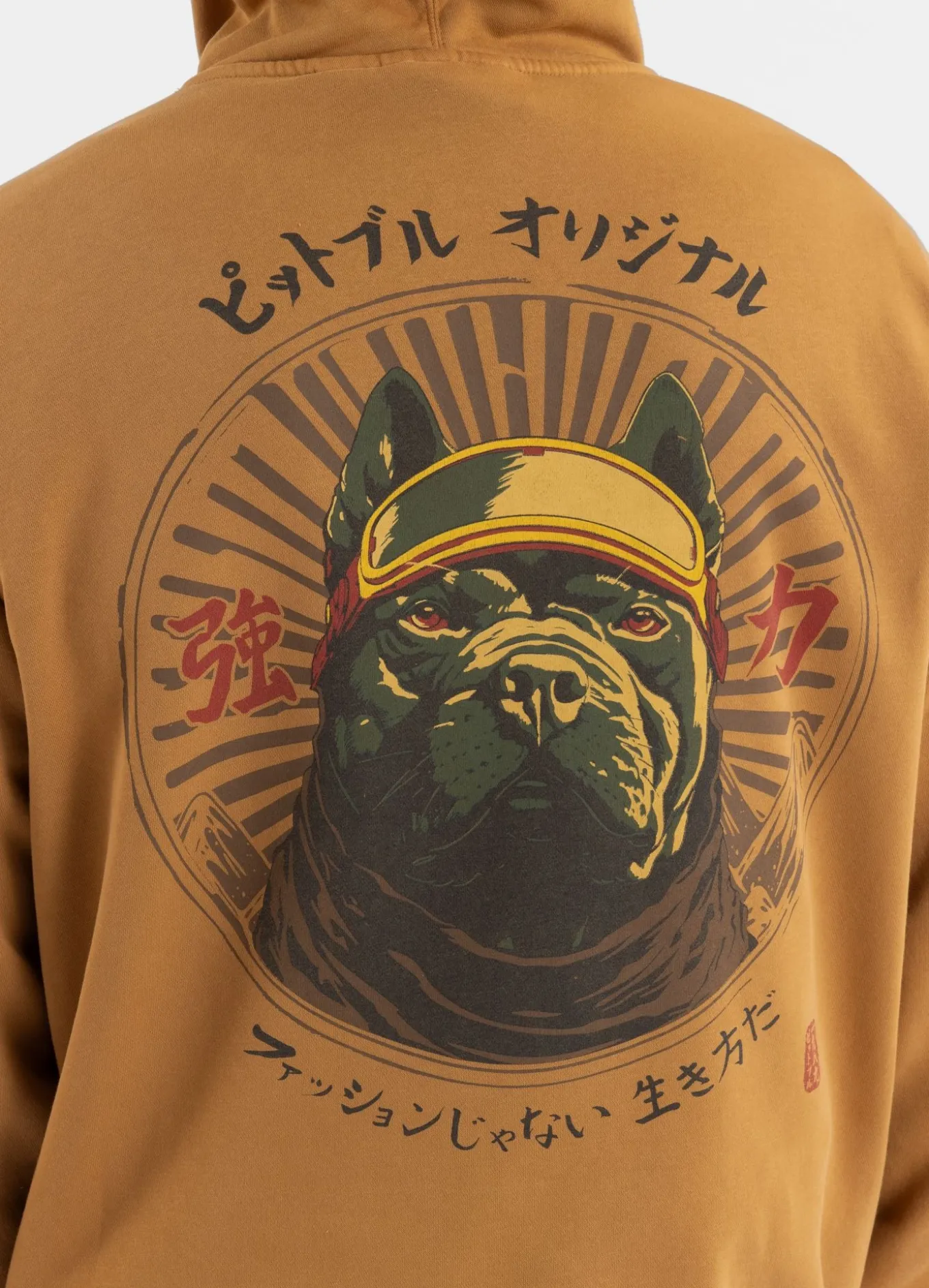 Men's Hoodie Washed MT FUJI