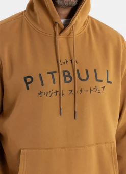 Men's Hoodie Washed MT FUJI