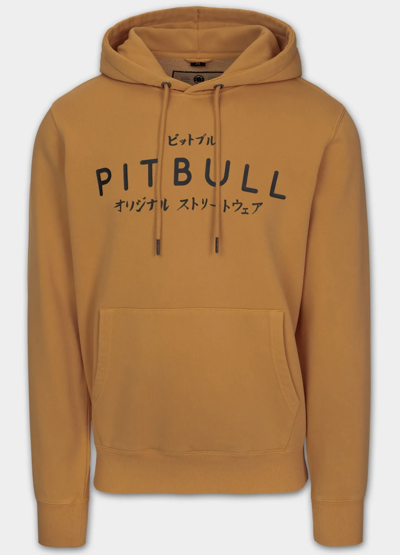 Men's Hoodie Washed MT FUJI