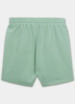 Men's sweat shorts NUGGET - Light mint