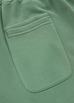 Men's Sweat shorts Washed Lancaster II - Sage green