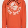Men's Sweatshirt DOG SD - Salmon