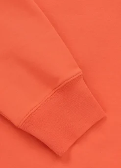 Men's Sweatshirt DOG SD - Salmon