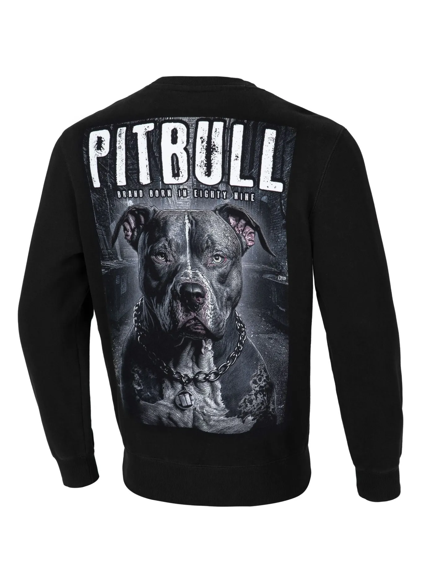 Men's Sweatshirt Street King