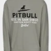 Men's Sweatshirt SURFING DOG