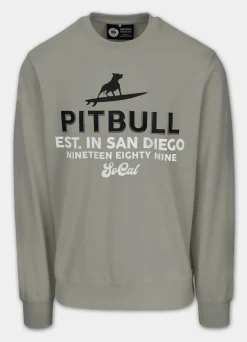 Men's Sweatshirt SURFING DOG
