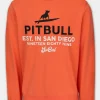 Men's Sweatshirt SURFING DOG