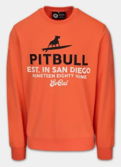 Men's Sweatshirt SURFING DOG