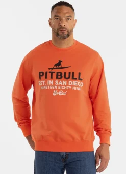Men's Sweatshirt SURFING DOG