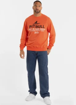 Men's Sweatshirt SURFING DOG