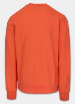 Men's Sweatshirt SURFING DOG