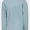 Men's Sweatshirt Washed Lancaster II - Washed blue