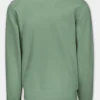 Men's Sweatshirt Washed Lancaster II - Sage green