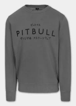 Men's Sweatshirt Washed MT FUJI