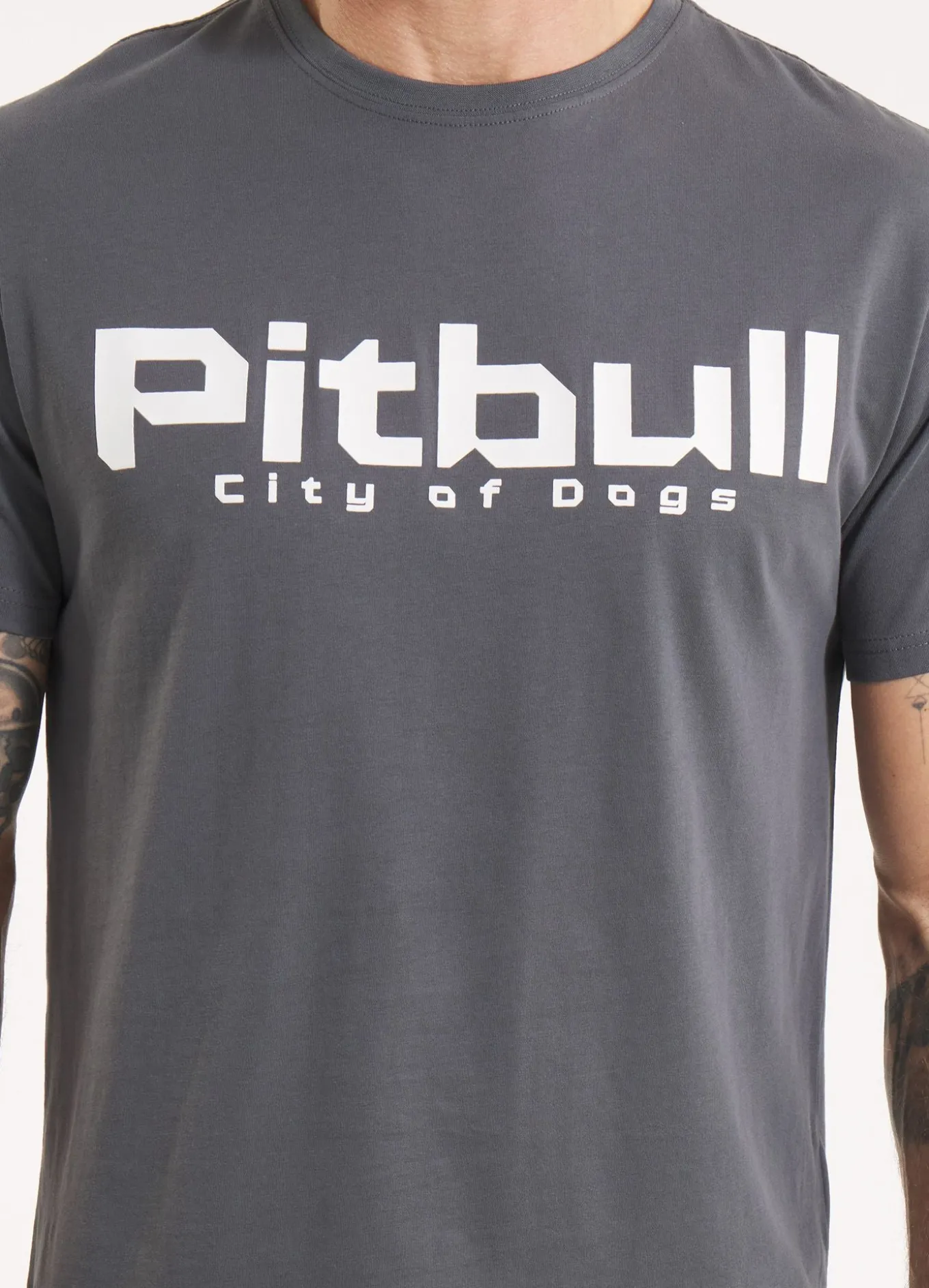 Men's T-Shirt CITY OF DOGS - Graphite