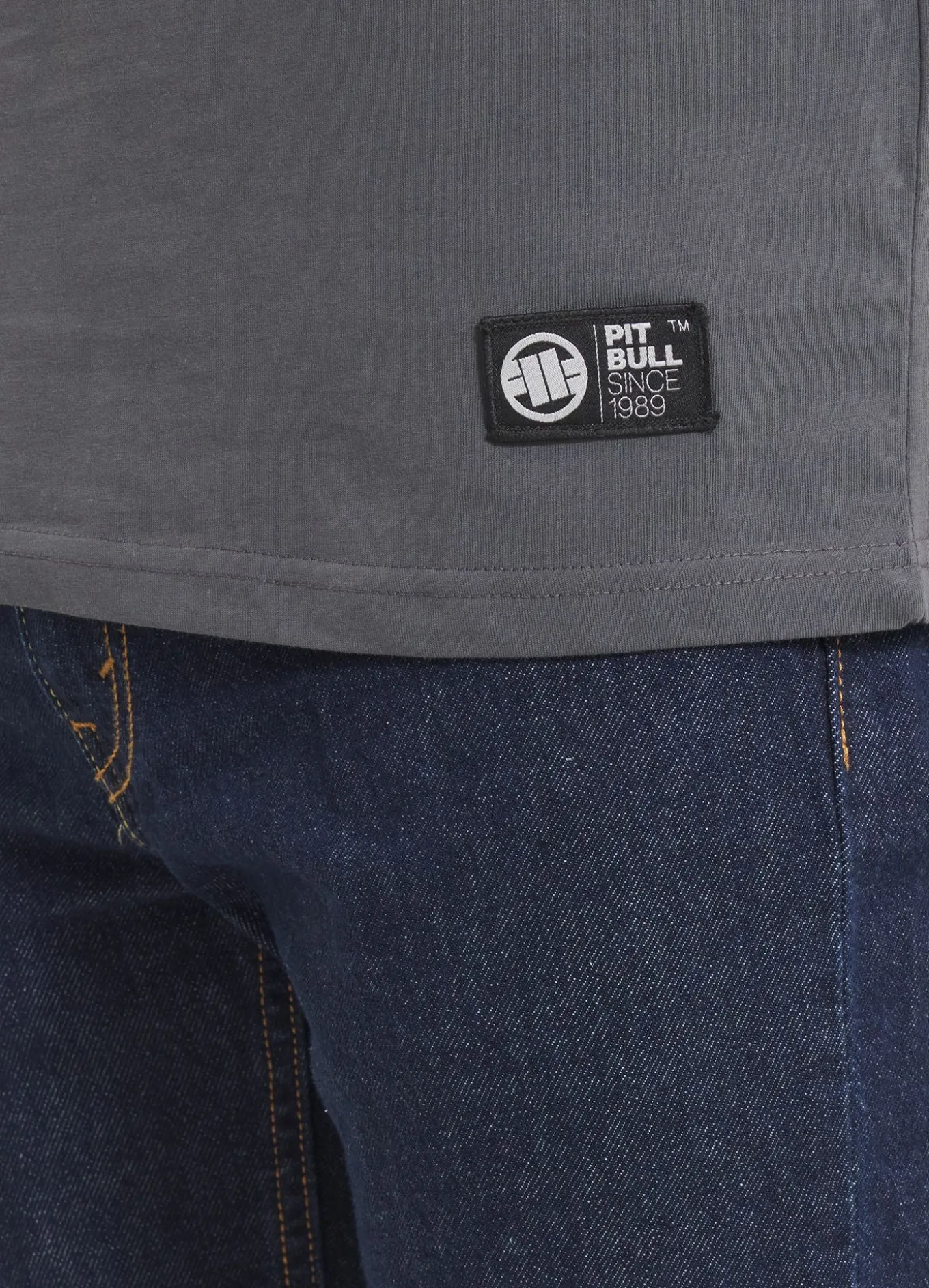 Men's T-Shirt CITY OF DOGS - Graphite