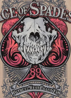 Men's T-Shirt Denim Washed ACE OF SPADES II - Sand