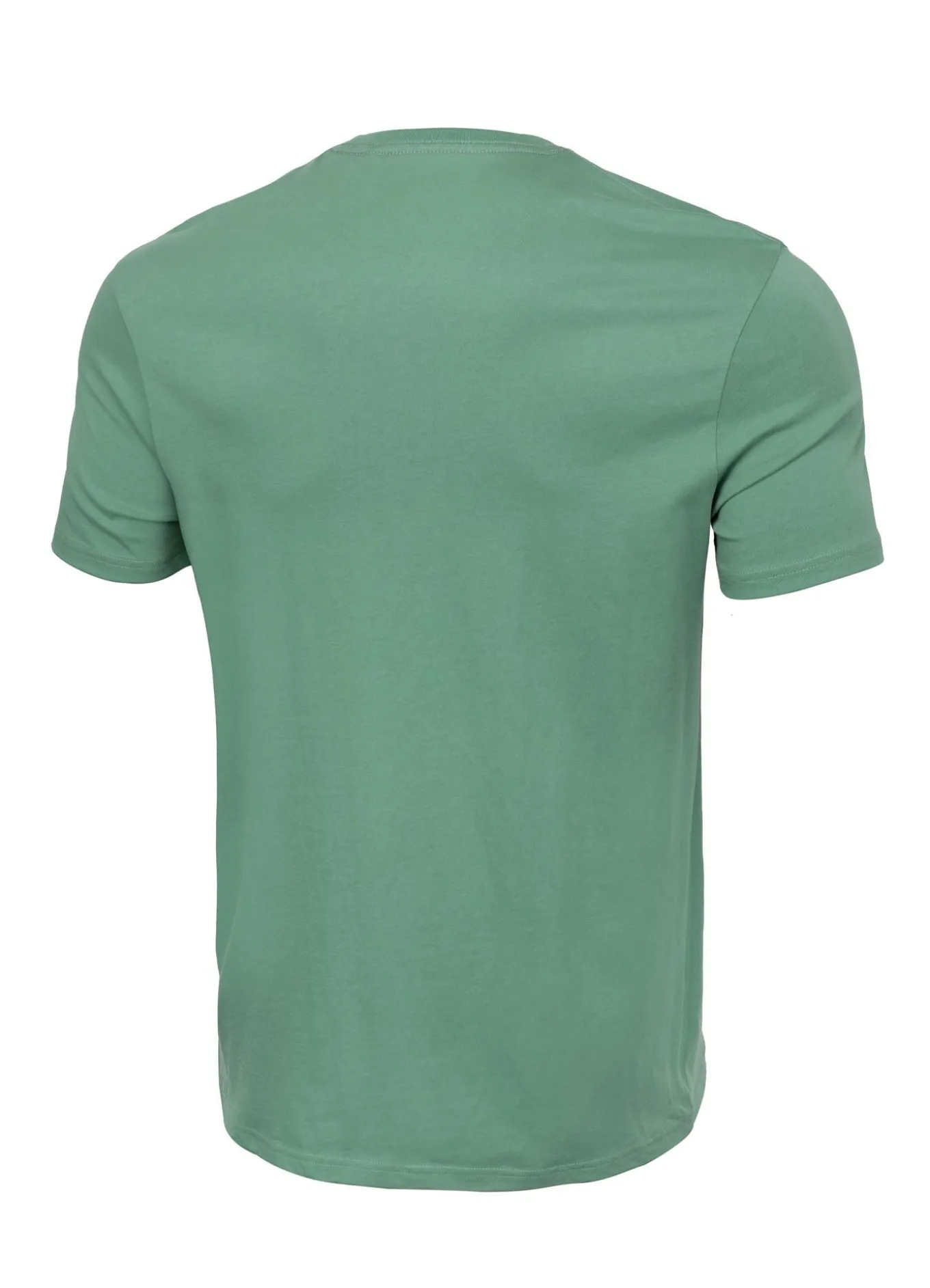 Men's T-Shirt DRIVE - Mint