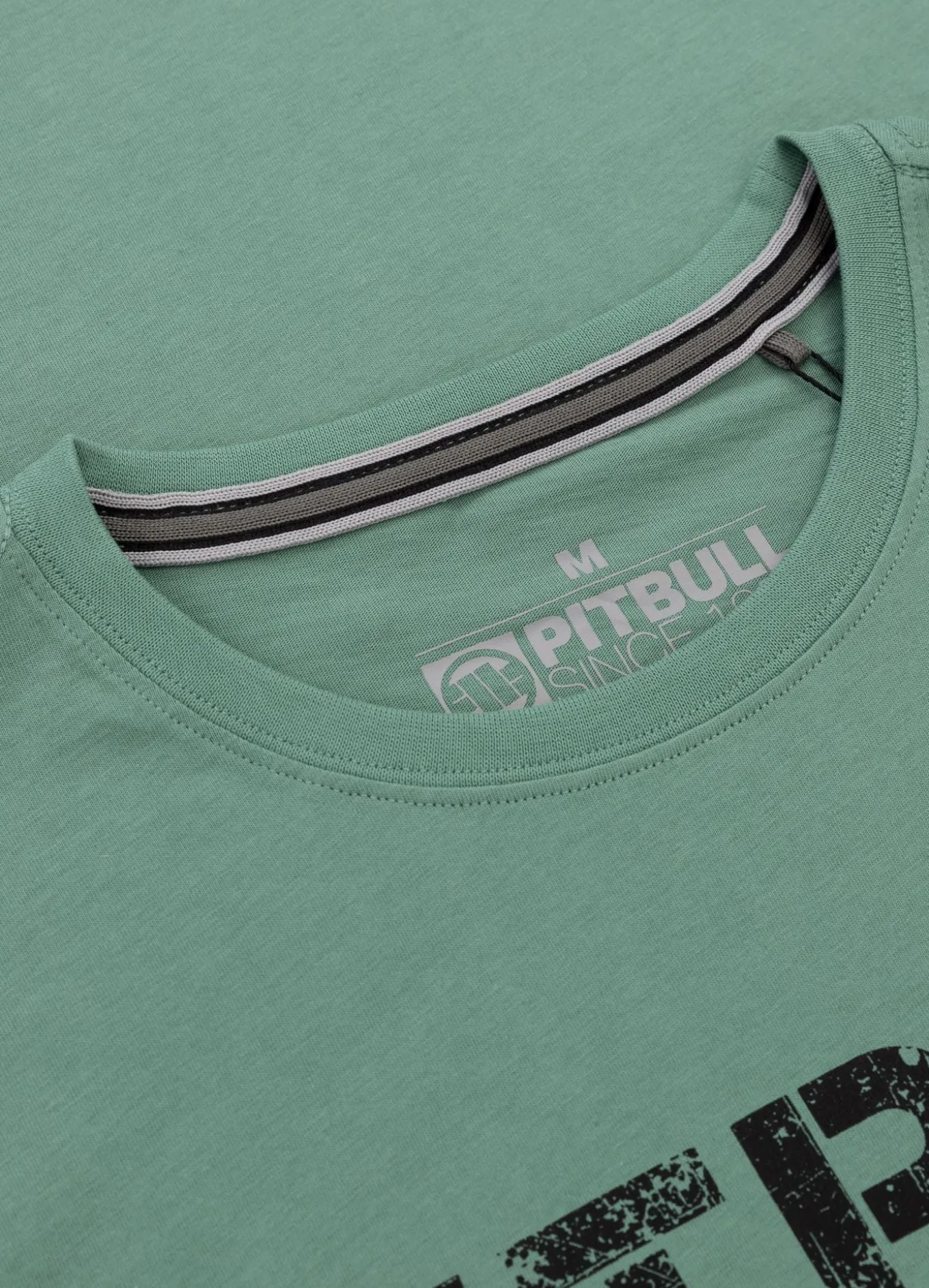 Men's T-Shirt DRIVE - Mint