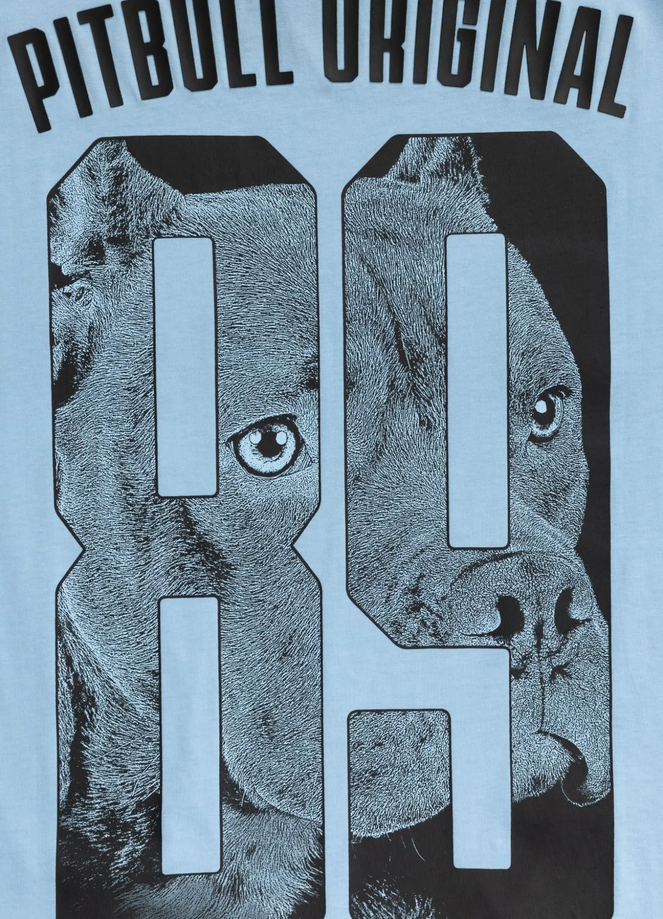 Men's T-Shirt EIGHTY NINE DOG - Light blue