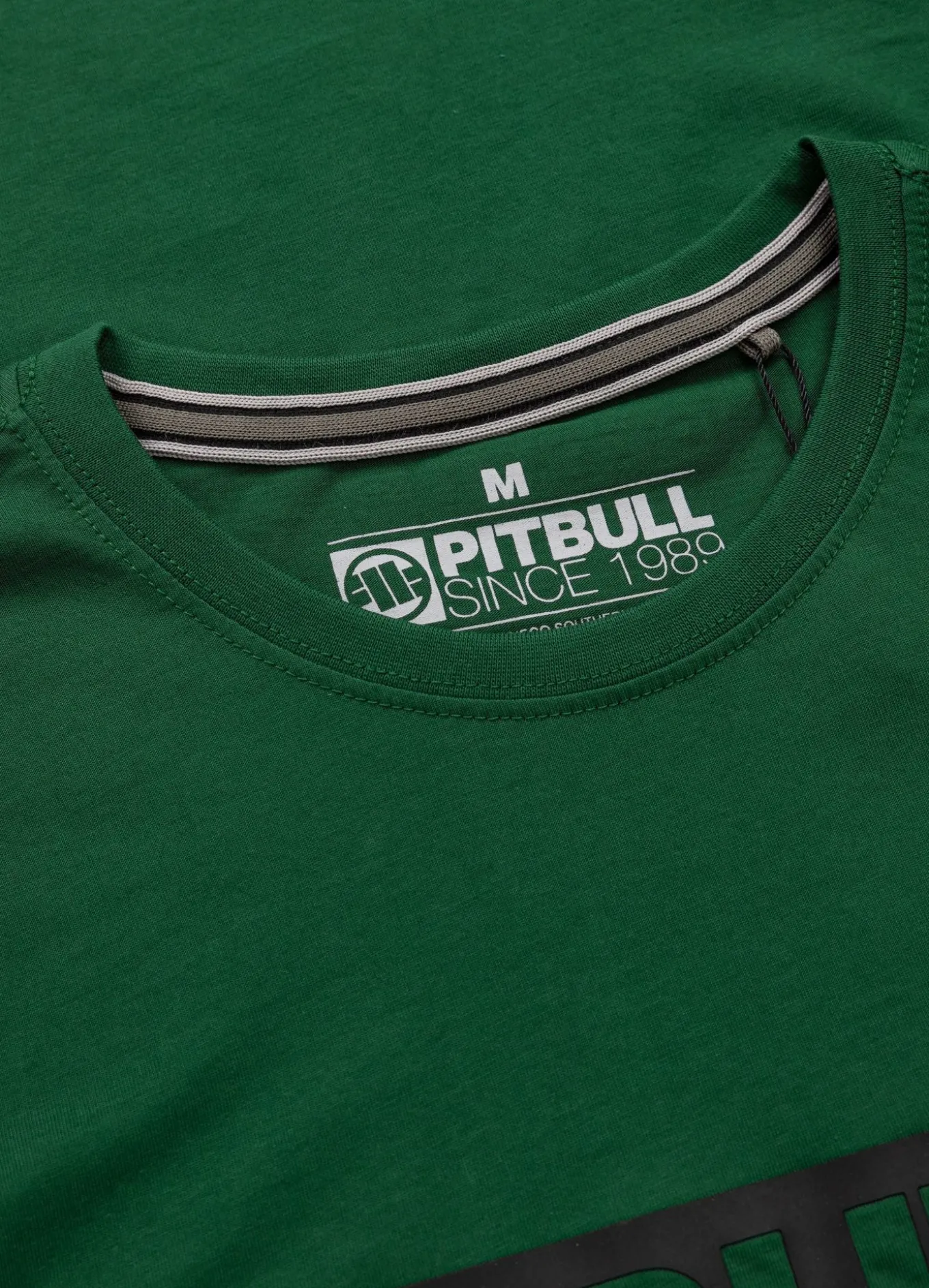 Men's T-Shirt HILLTOP - Leaf green
