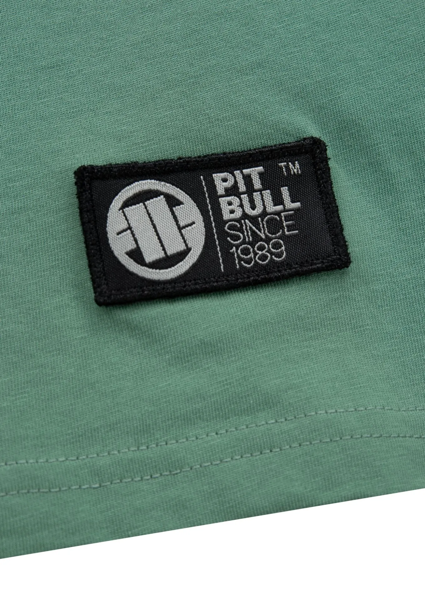 Men's T-Shirt OCEANSIDE - Mint