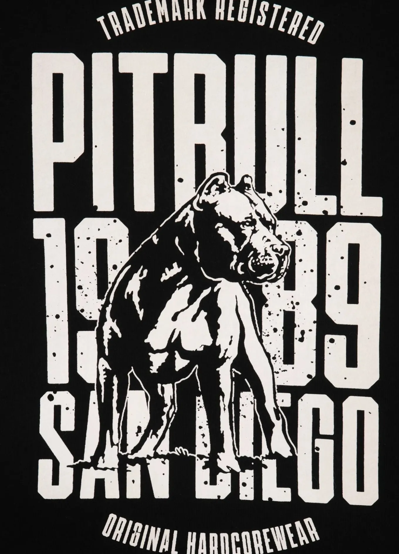 Men's T-Shirt SAN DIEGO DOG - Black