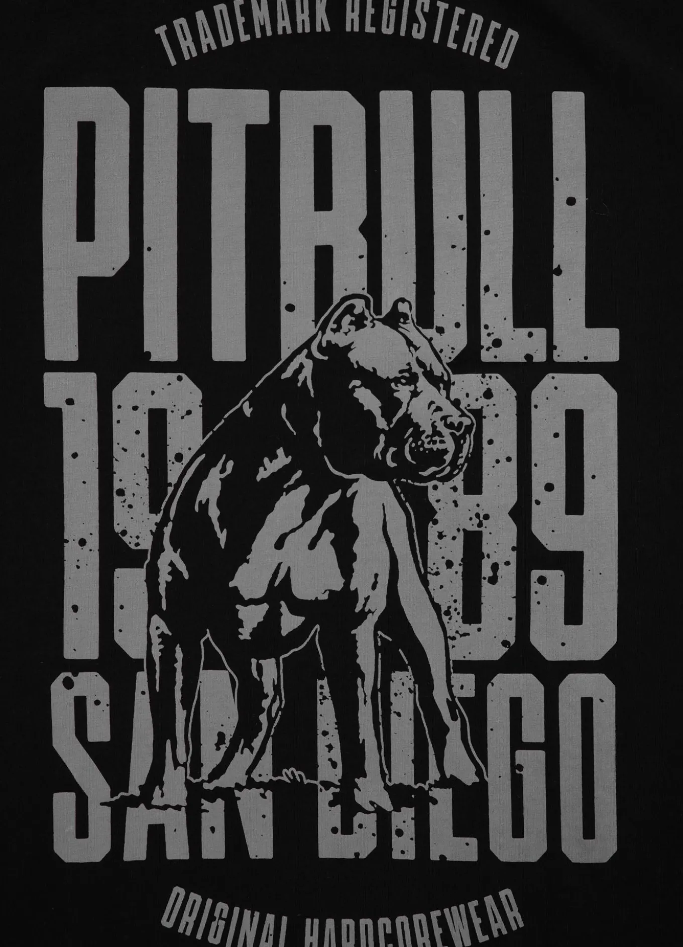 Men's T-Shirt SAN DIEGO DOG - Black/Gray