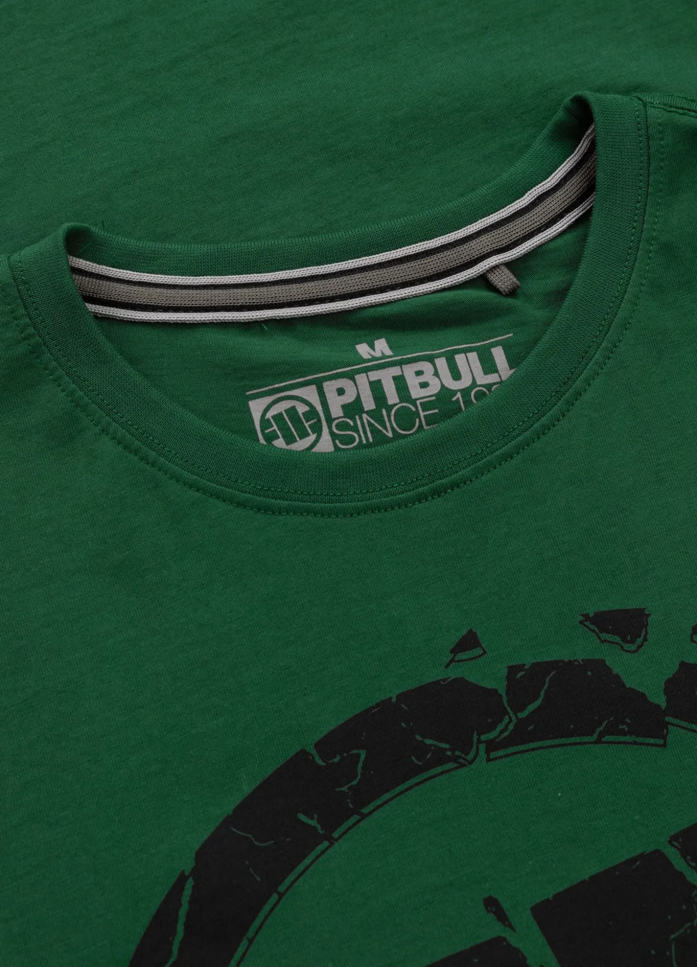 Men's T-Shirt SCRATCH - Leaf green