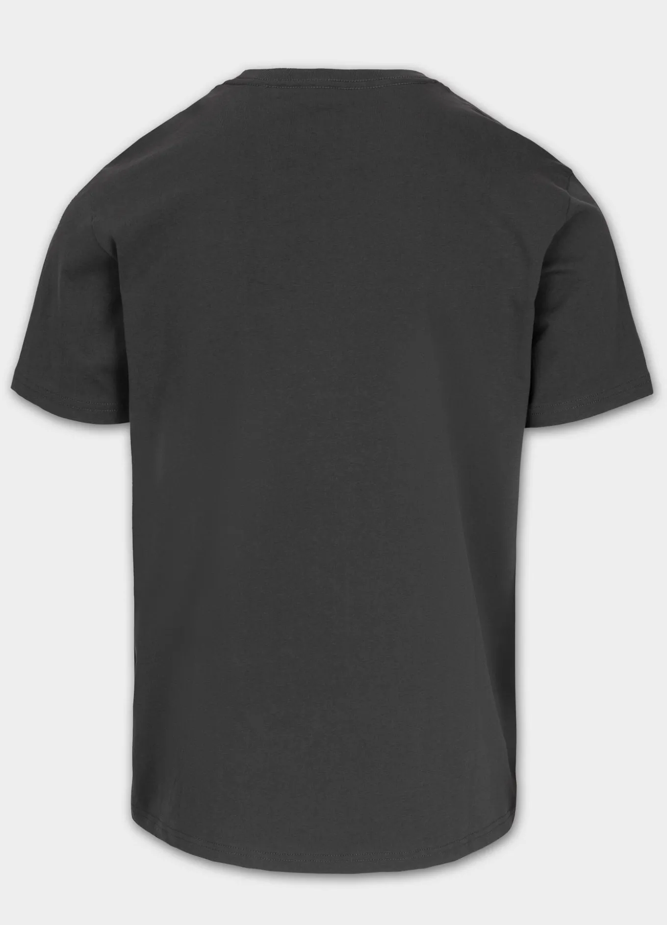 Men's T-Shirt SMALL LOGO - Graphite