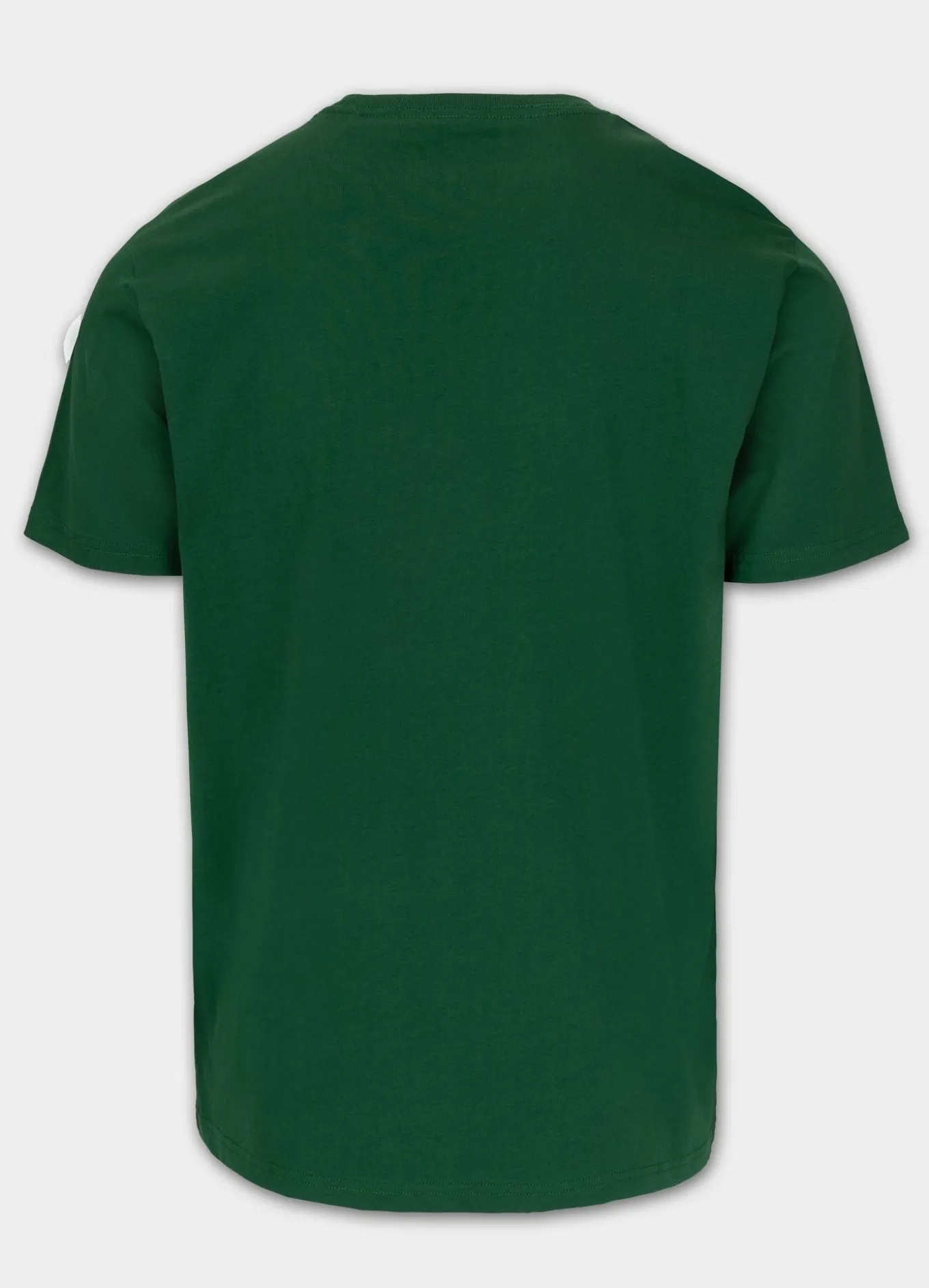 Men's T-Shirt SMALL LOGO - Leaf green